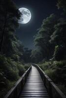 een pad leidend naar een maanlicht Woud foto