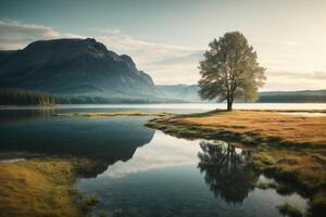 een meer omringd door bomen en rotsen foto