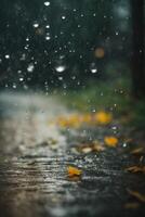 regendruppels Aan de grond in de regen foto