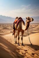 een kameel is wandelen in de woestijn foto