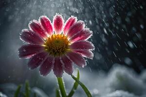 bloem is in de regen met druppels van water foto