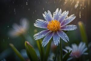 bloem is in de regen met druppels van water foto