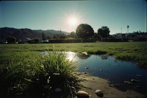 een plas van water Aan de grond met gras en rotsen foto