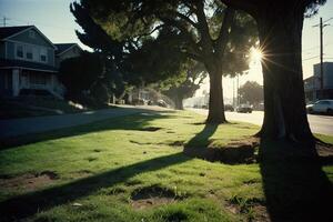 een met gras begroeid Oppervlakte met bomen en een zon schijnend door foto