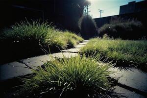 een met gras begroeid Oppervlakte met water en rotsen foto