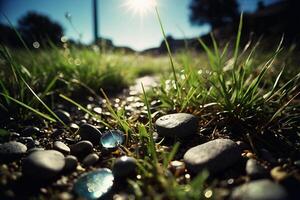 een met gras begroeid Oppervlakte met water en rotsen foto