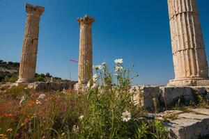 de kolommen van de tempel van Rhea in Jeruzalem foto