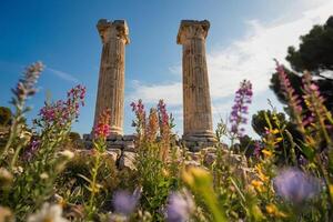 de kolommen van de tempel van Rhea in Jeruzalem foto