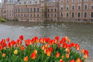 de stad van hol haag in Holland foto