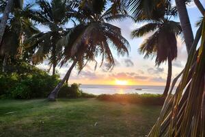 kunst mooi zonsondergang over- de tropisch strand foto