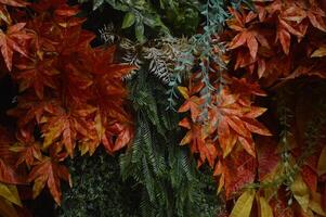 detailopname van gedaald bladeren in herfst. oranje groen blad achtergrond en blad structuur foto