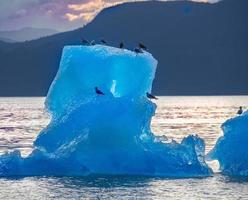 blauwe ijsberg, stephens passage, alaska foto