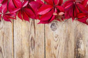 oud houten oppervlak met rode herfstparthenocissusbladeren foto