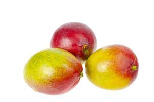 rijpe, sappige, zoete rood-groene mango. exotische vruchten geïsoleerd op wit. studio foto