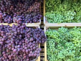 varianten verse biologische groenten en fruit op plank in supermarkt, boerenmarkt. gezond voedselconcept. foto