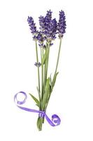 klein bosje blauwe lavendelbloemen. foto