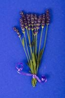 klein bosje blauwe lavendel bloemen foto