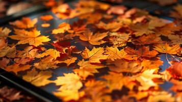 herfst doorbladert in tablet Scherm technologie foto