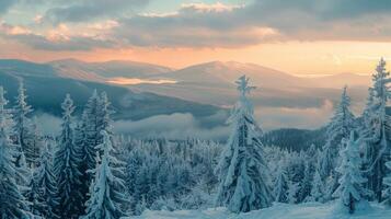 mooi winter natuur landschap verbazingwekkend berg foto