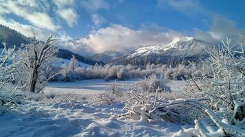 mooi winter natuur landschap verbazingwekkend berg foto