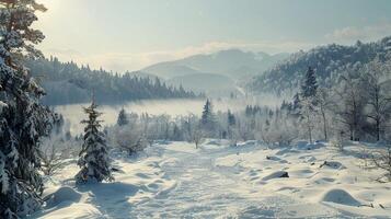 mooi winter natuur landschap verbazingwekkend berg foto