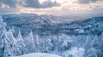 mooi winter natuur landschap verbazingwekkend berg foto