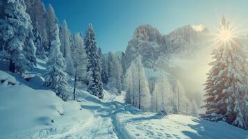 mooi winter natuur landschap verbazingwekkend berg foto