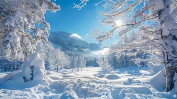 mooi winter natuur landschap verbazingwekkend berg foto