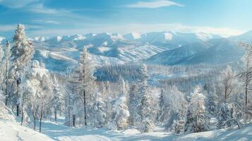 mooi winter natuur landschap verbazingwekkend berg foto