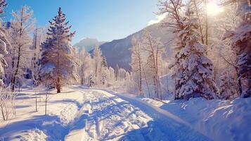 mooi winter natuur landschap verbazingwekkend berg foto