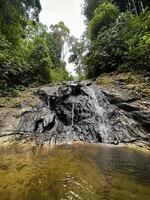 rustig waterval voorzichtig vloeiende in een Woud vijver, omringd door groen gebladerte en verspreide herfst bladeren foto