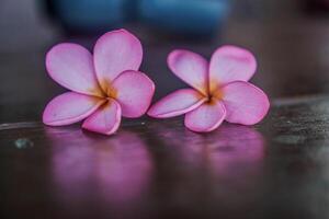 dichtbij omhoog visie van frangipani bloem geïsoleerd Aan houten tafel met leeg ruimte voor fotokopiëren. foto