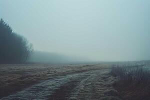 somber landschap met de nevel foto