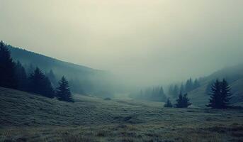 somber landschap met de nevel foto