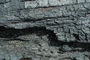 hout structuur achtergrond brandend en draaien in hout houtskool. foto concept voor Woud brandend, onwettig loggen veroorzaken klimaat verandering