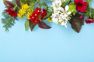 kaart, collage van bladeren, heldere bloemen op blauwe achtergrond. studio foto