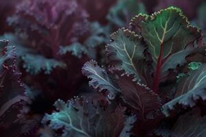 vers groen en Purper boerenkool planten Aan marmer, biologisch groenten foto