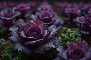 vers groen en Purper boerenkool planten Aan marmer, biologisch groenten foto