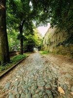 park met groen heuvels en historisch architectuur Bij de petrovaradin vesting foto