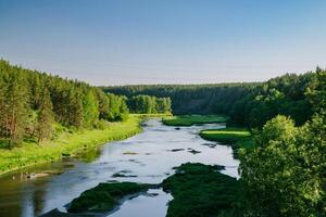 rustig rivier- in groen zomer bossen foto