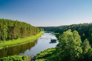 rustig rivier- in groen zomer bossen foto