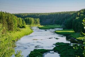 rustig rivier- in groen zomer bossen foto