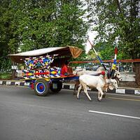 een kleurrijk traditioneel os kar in de Yogyakarta Oppervlakte, Indonesië foto