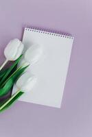 mooi wit tulpen en notitieboekje met blanco bladzijde Aan paars pastel achtergrond. foto