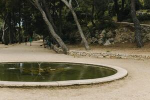 verbazingwekkend visie van de oud park in dubrovnik, Kroatië. reizen bestemming in Kroatië. foto