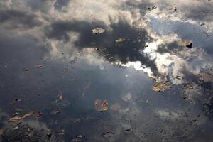 reflectie van blauw lucht met hoes Aan de vijver foto