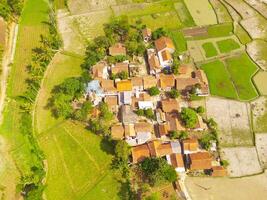 vogel oog visie van dorp tussen rijst- velden in Bandung stad, Indonesië. landschap van bouwland met rijst- terras agrarisch gewassen in platteland. agrarisch veld. bovenstaande. schot van een dar vliegend foto