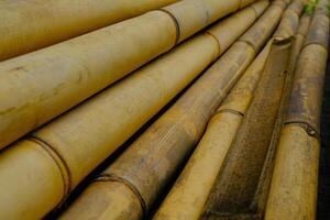 achtergrond fotografie. getextureerde achtergrond. een stapel van trossen van oud geel bamboe. oud bamboe is verzameld Aan de kant van de weg voor gebouw bouw. bandoeng, Indonesië foto