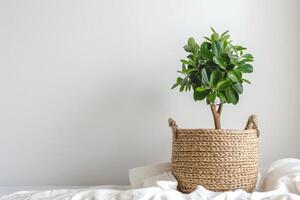 klein ingemaakt banyan boom in een geweven mand foto