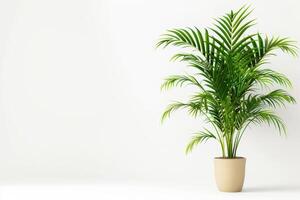 stel je voor een slank palm boom groeit in een modern pot. foto